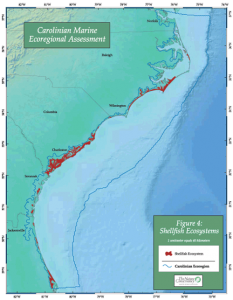One of the target maps from the Carolinian Assessment indicating shellfish distributions. Click on image to enlarge.