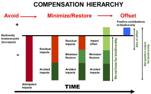 Compensation hierarchy (click to enlarge).