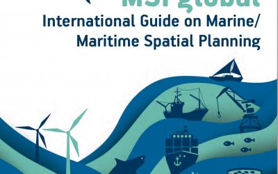 New! MSPglobal International Guide for MSP