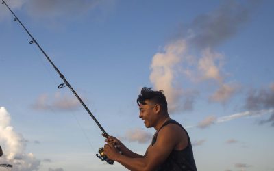 Consultant for sport fishing and MPA