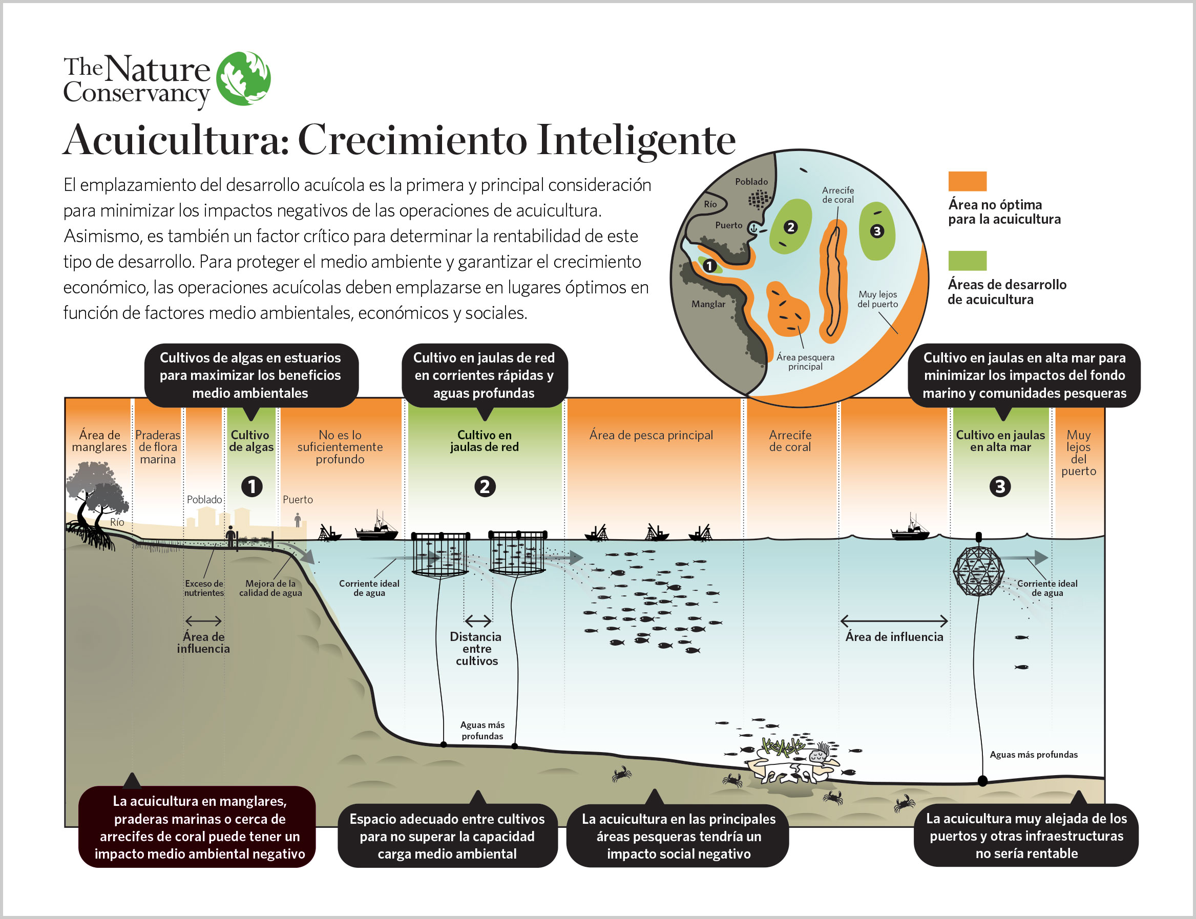 TNC - Acuicultura: Crecimiento Inteligente