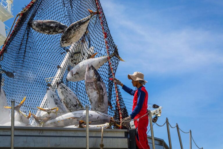 Five African nations commit to expanding electronic monitoring at Our Oceans Conference